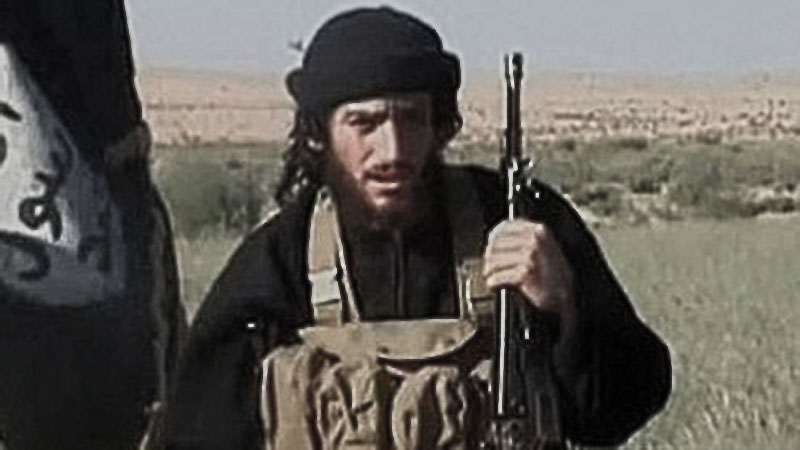 В Сирии убит один из главарей Исламского государства — Пентагон В Сирии убит один из главарей Исламского государства — Пентагон