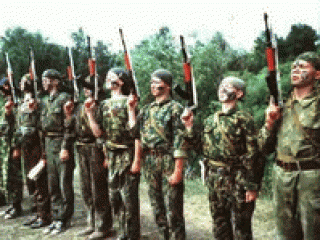 Радикализм и будущее России