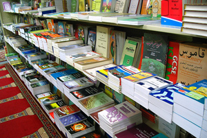 Иранцы ответили на «карикатурный скандал» книгой о пророке