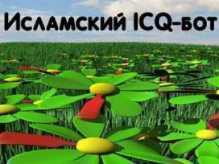 Пользователи ICQ могут совершенствовать знания по исламу в режиме онлайн