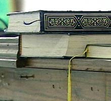 Дания задумалась о введении шариата