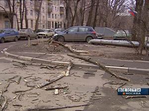 В Москве объявлено штормовое предупреждение
