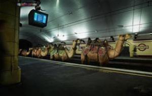 В столице ОАЭ построят метро