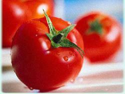 Россия вводит ограничения на импорт турецких продуктов
