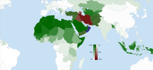 Большой Ближний Восток в 2009 году