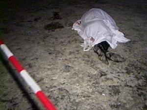 Нацисты опять отрезали человеку голову