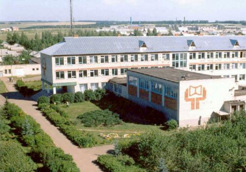 Мусульманки Татарстана пожаловались в министерство образования