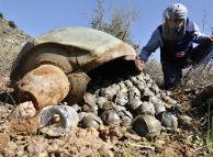 Крупнейшие производители кассетных боеприпасов отказываются их запрещать