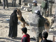 Израильские военные учат собак нападать на мусульман