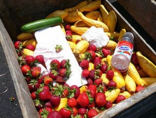 В Европе выкидывают пятую часть пригодных к еде продуктов