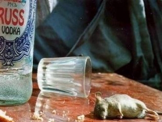 Пьянство довело женщину до теракта во сне