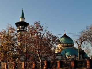 Муфтий Боснии встретился с делегацией венгерской уммы