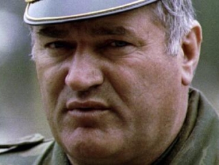 Адвокаты Младича пытаются затянуть процесс