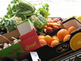 Израиль готовит продуктовую экспансию в России