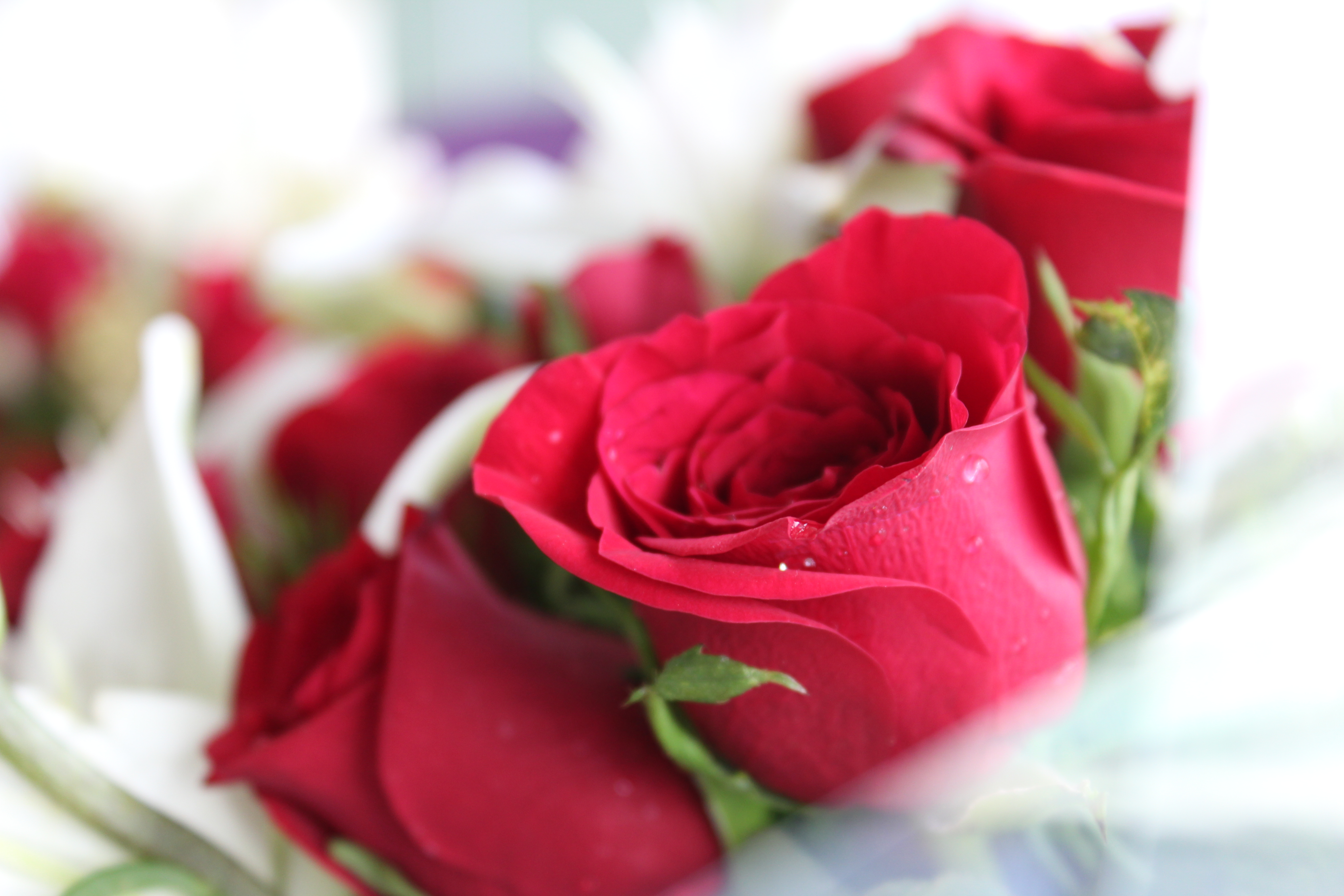 Букеты самых красивых и свежих цветов от “Flower Studio”