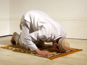 zmuslim