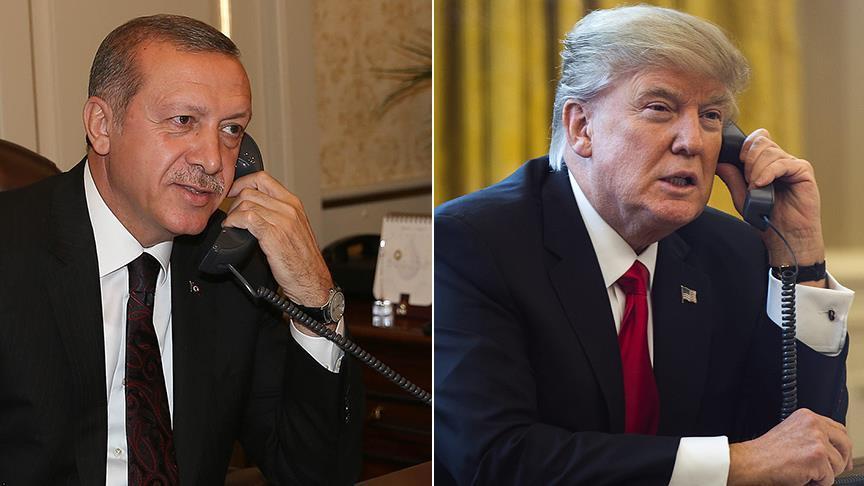 Трамп поздравил Эрдогана и обсудил вопросы Сирии