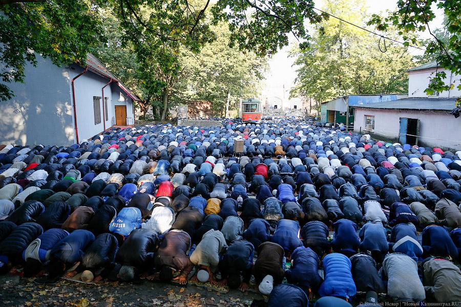 Мусульмане Калининграда готовы отказаться от голосования за власть из-за мечети (ВИДЕО)