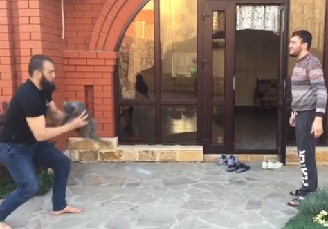 Превратившие кота в мяч чеченские бойцы взбесили в соцсети (ВИДЕО)