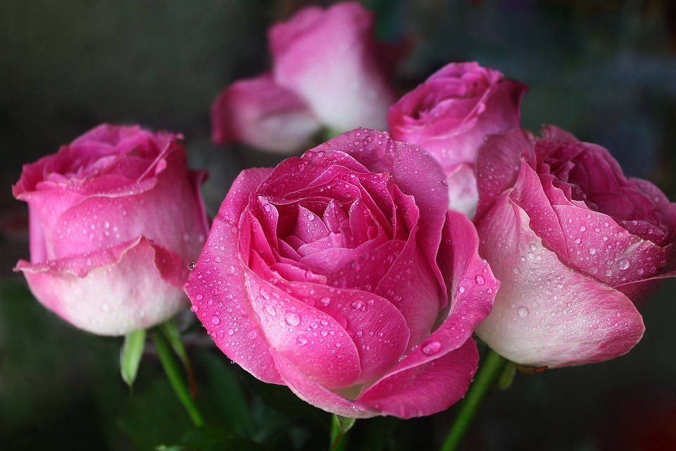 Плюсы заказа доставки цветов на сервисе «Flowers.ua»