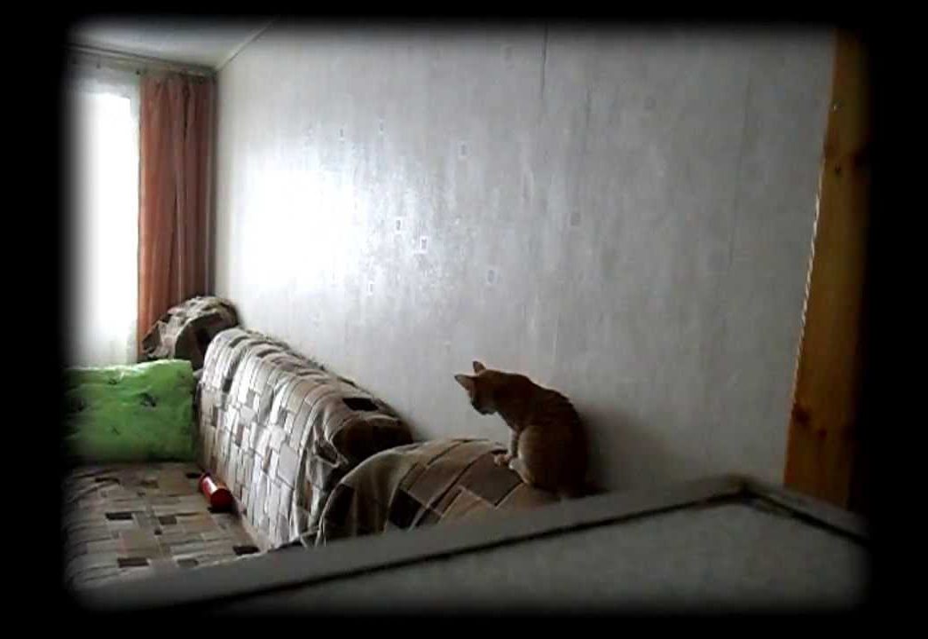 В Белгороде выявляли религиозных экстремистов с помощью скрытой камеры в однушке супружеской пары