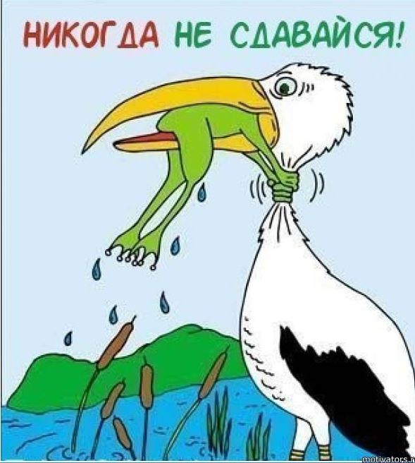 Не отступать и не сдаваться
