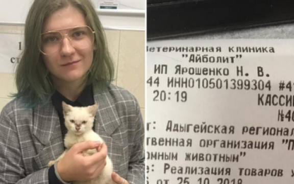 Добросердечная жительница Адыгеи заплатила 340 тысяч рублей, чтобы спасти котенка